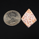 Natural Pink Natrolite (Thomsonite) Kite Cabochon 29x18x4mm 11.5ct - view 1 - Pedra Gems