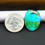 Mohave Turquoise & White Buffalo Oval Cabochon 28x20mm 16.5ct - Green and Blue with Black Patch - Pedra Gems