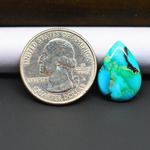 Mohave Turquoise & White Buffalo Pear Cabochon 19x14mm 7ct - Blue and Green with Black Band - Pedra Gems
