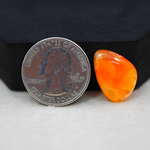 Natural Orange Calcite Trillion Cabochon 20x14mm 10ct - warm honey-orange - Pedra Gems.