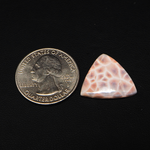 Natural Pink Natrolite (Thomsonite) Trillion Cabochon 19x19x4mm 9ct - view 1 - Pedra Gems