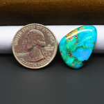 Mohave Turquoise & White Buffalo Freeform Cabochon 24x18mm 11ct - Blue and Green with Black Accent - Pedra Gems