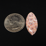 Natural Pink Natrolite (Thomsonite) Marquise Cabochon 29x13x4mm 9.5ct - view 1 - Pedra Gems
