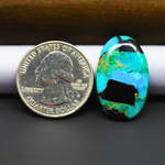 Mohave Turquoise & White Buffalo Oval Cabochon 26x17mm 12ct - Blue and Green with Black Bands - Pedra Gems