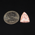 Natural Pink Natrolite (Thomsonite) Triangle Cabochon 21x14x4mm 6.5ct - view 1 - Pedra Gems