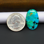 Mohave Turquoise & White Buffalo Oval Cabochon 26x17mm 12.5ct - Green and Blue with Black Veining - Pedra Gems