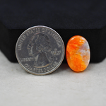 Natural Orange Calcite Oval Cabochon 18x12mm 8.5ct - warm honey-orange - Pedra Gems.