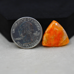 Natural Orange Calcite Trillion Cabochon 20x21mm 15ct - warm honey-orange - Pedra Gems.