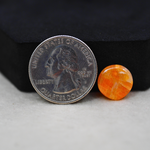 Natural Orange Calcite Round Cabochon 12x12mm 4.5ct - warm honey-orange - Pedra Gems.